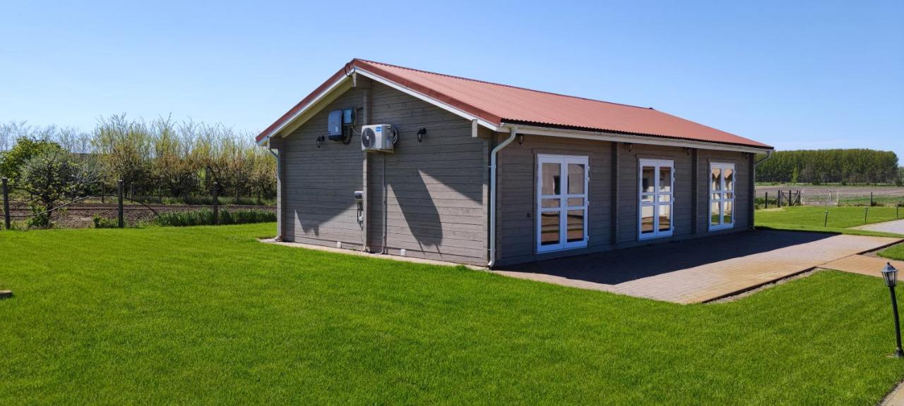 Village Garden Family Guest House Tiszakanyár Exterior foto